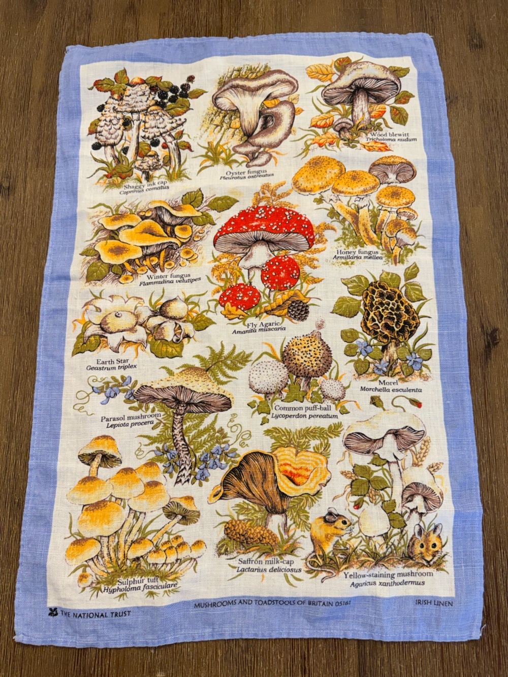 Mushrooms and toad stools of Britain 100% Irish Linen Tea Towel Kitchen Linen